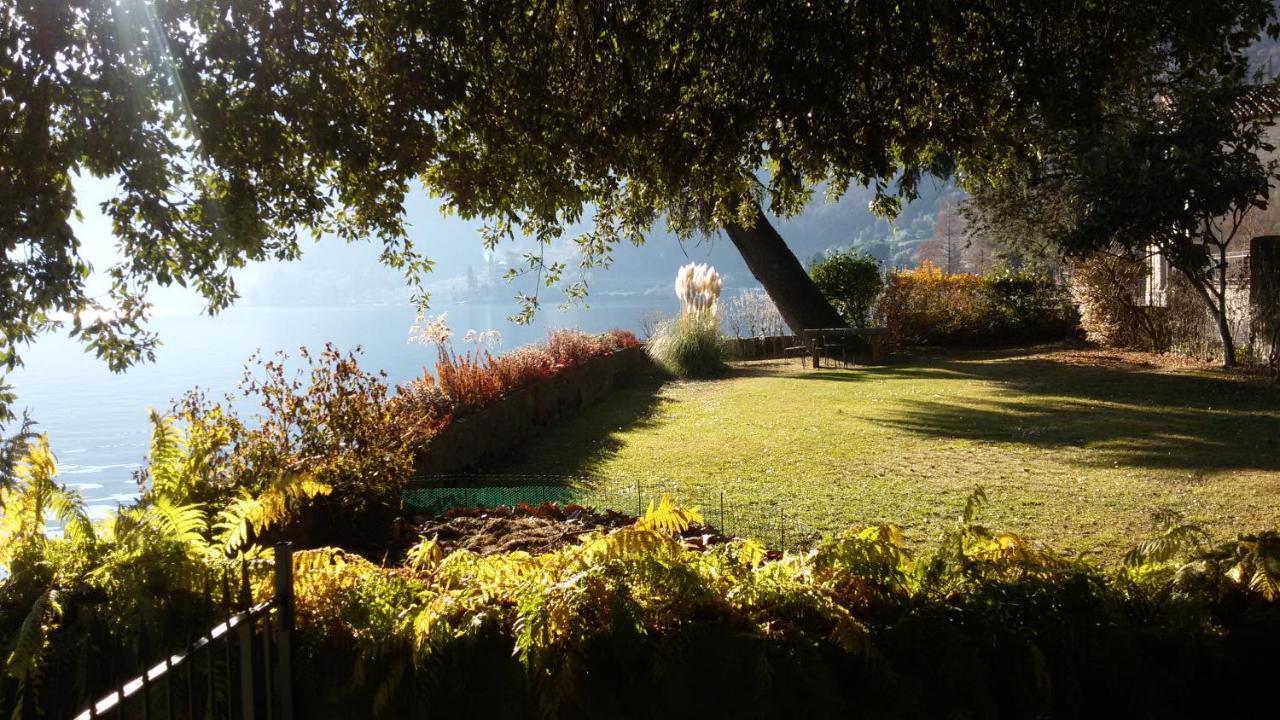 Iseolakerental - Casa Del Pescatore Riva di Solto Exterior photo